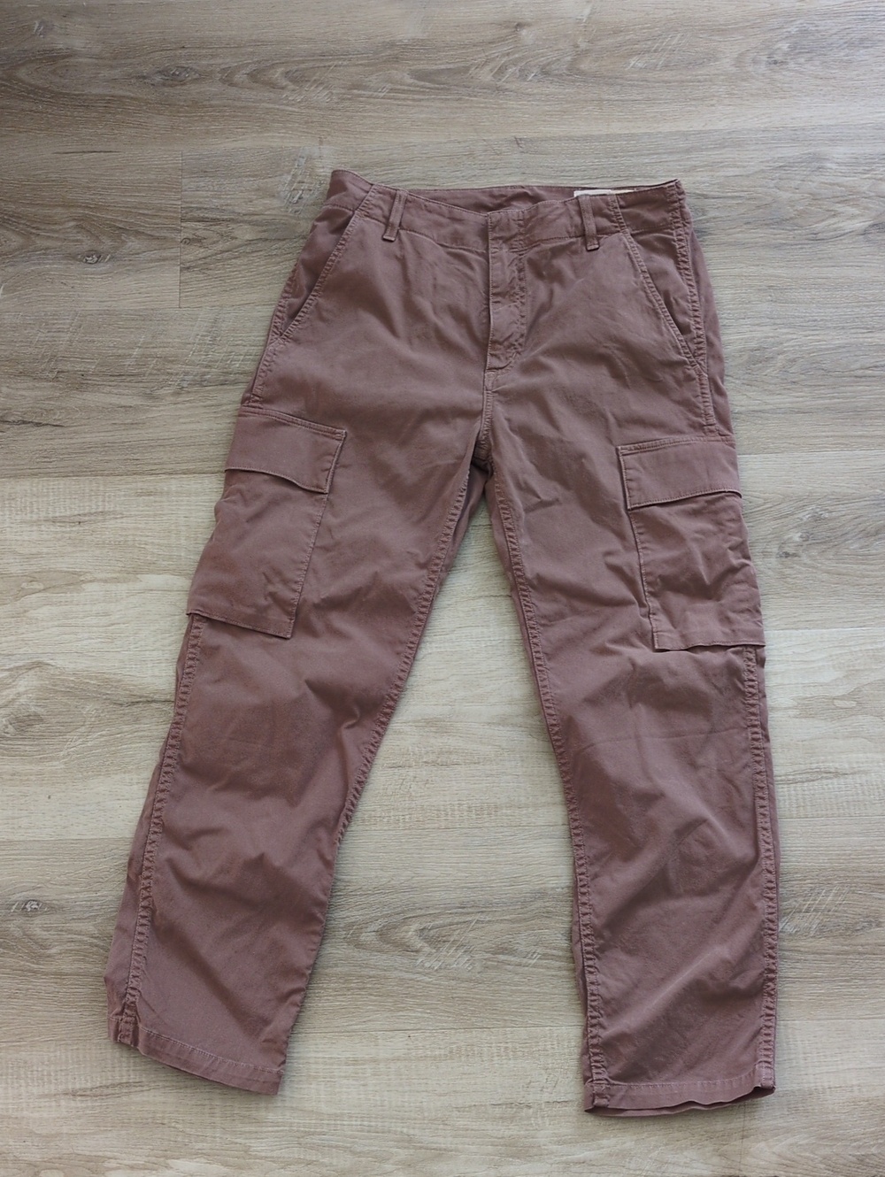 Citizens of Humanity Gaia Surplus Cargo Pants